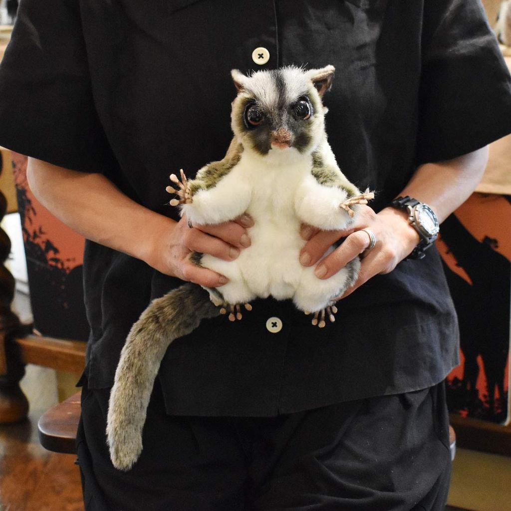 BH7482 HANSA Sugar Glider 22cm