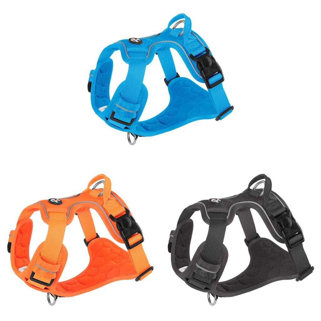 Pet Harness Vest With Nonextendable Leash For Small Dogs And Cats