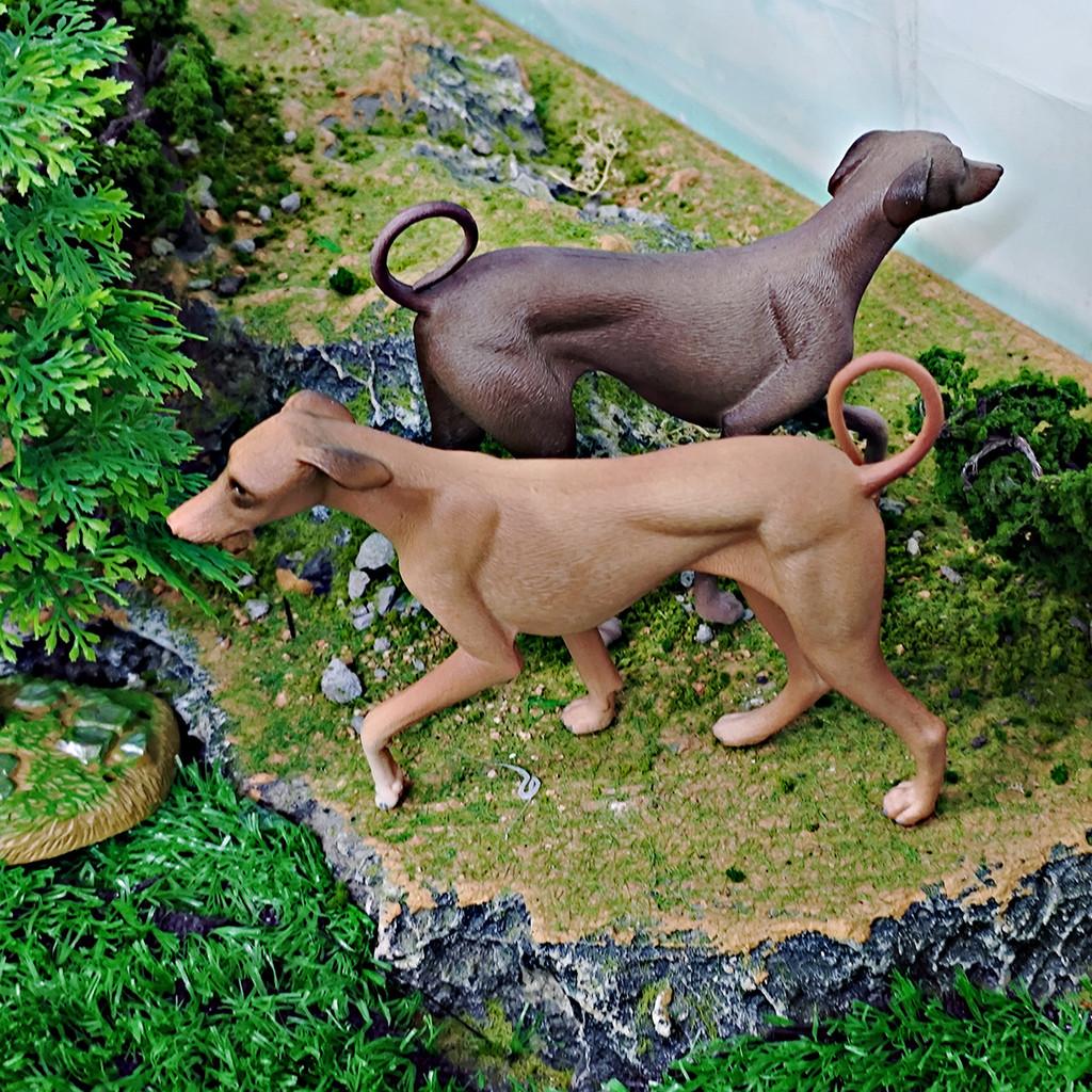 Azawakh Dog Model Collectible Pvc Figure For Kids And Pet Enthusiasts