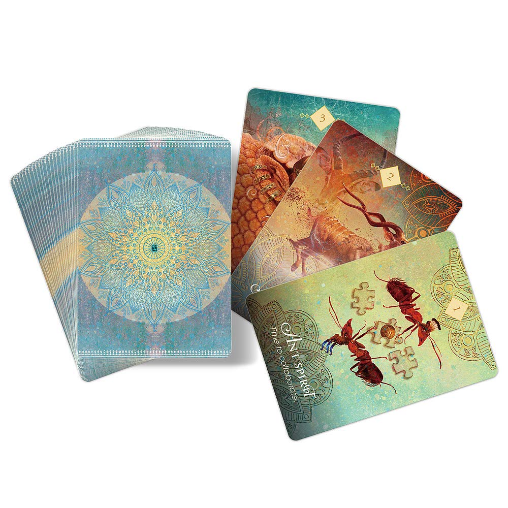 I.I.J Oracle Cards Spirit Animal Oracle Cards Japanese Version Affirmation Fortune Telling with Japanese Instruction Manual