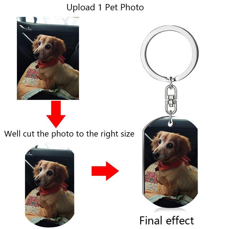 Free Entgraved Dog Tag Double Side Printed Custom Collar Tag Personalized Logo Cat Pet Name Photo Tag Stainless Steel Pet ID Tag