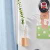 2Pcs Elegant Magnetic Test Tube Vases for Displaying Flowers On Fridge or Metal Surfaces Flower Arrangement Mini Planter