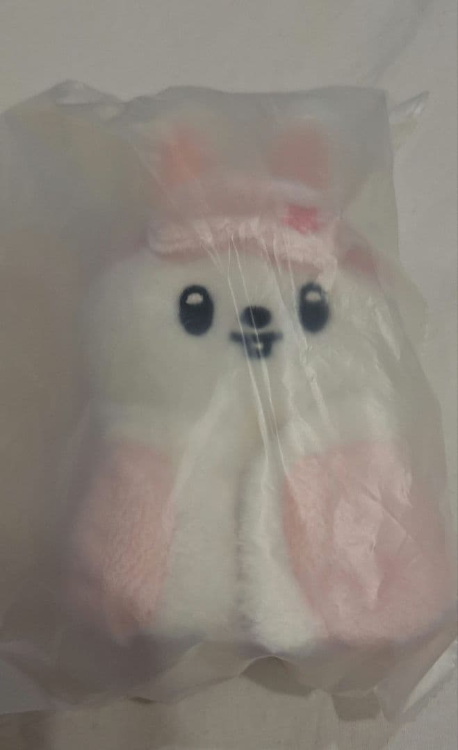 

[USED] Stray Kids Leavitt 10cm Plush Toy