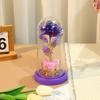 Gold Foil Flower Night Light Rose Ornament Creative Immortal Flower Glass Cover Lamp Mother's Day Gift Setting