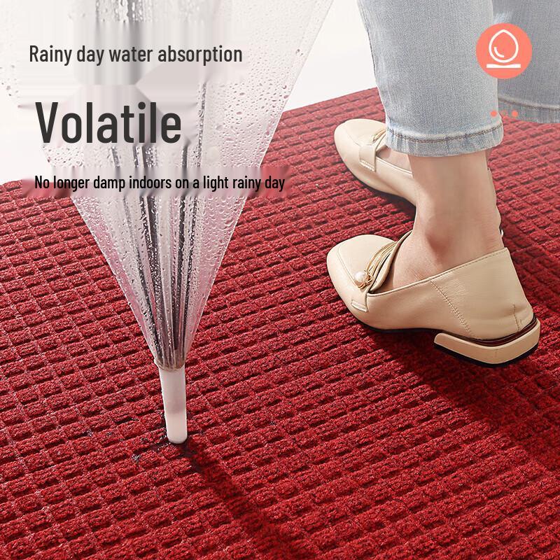 Dajiang Anti-slip Entrance Mat