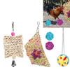 5pcs Foraging Toys Colorful Shred Bell Ball Basket Chewing for Pet Chicken Parrot  Bird