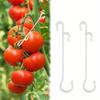 10pcs J Shaped Fruit Cherry Tomato Ear Hook Garden Vegetable Plant Grape Support Vines Fastener Clips Trellis Fixed Buckle Hook