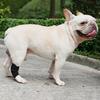 Adjustable Dog Legs Brace Prevents Wounds and Provide Warmth for Recovery Against Licking Assists In Healing Brace