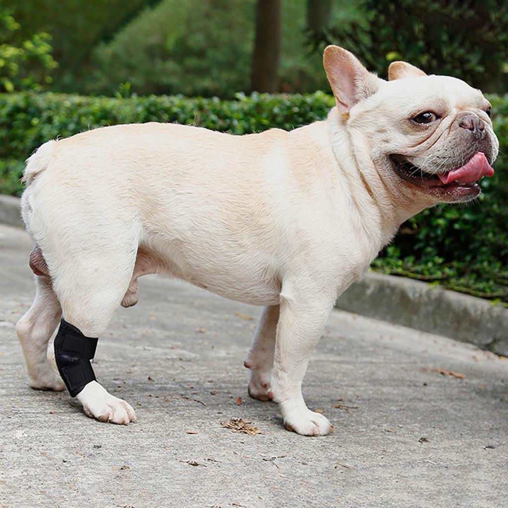 Adjustable Dog Legs Brace Prevents Wounds and Provide Warmth for Recovery Against Licking Assists In Healing Brace