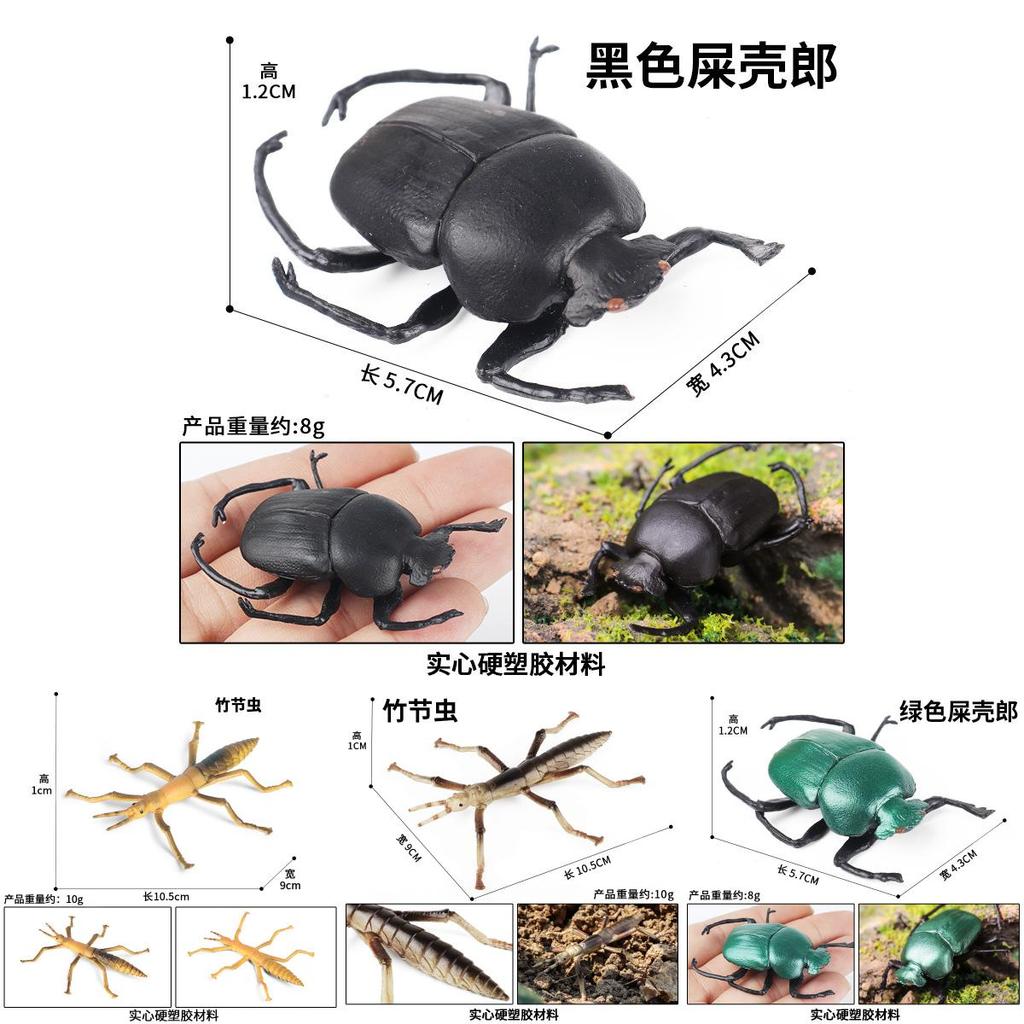 Realistisches Insektenmodell-Set Für Kinder Pädagogisches Und Sammlerstück Spielzeugsammlung