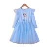 Elsa Princess Spring/Autumn Dress: Girls' Mesh Skirt, One-Piece Stylish Outfit