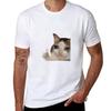 Crying Cat Thumbs Up T-Shirt Tough Fabric Work Tee