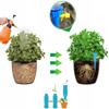 Irrigator for Flower Pots Plants Water Dispenser Watering 12 Pieces