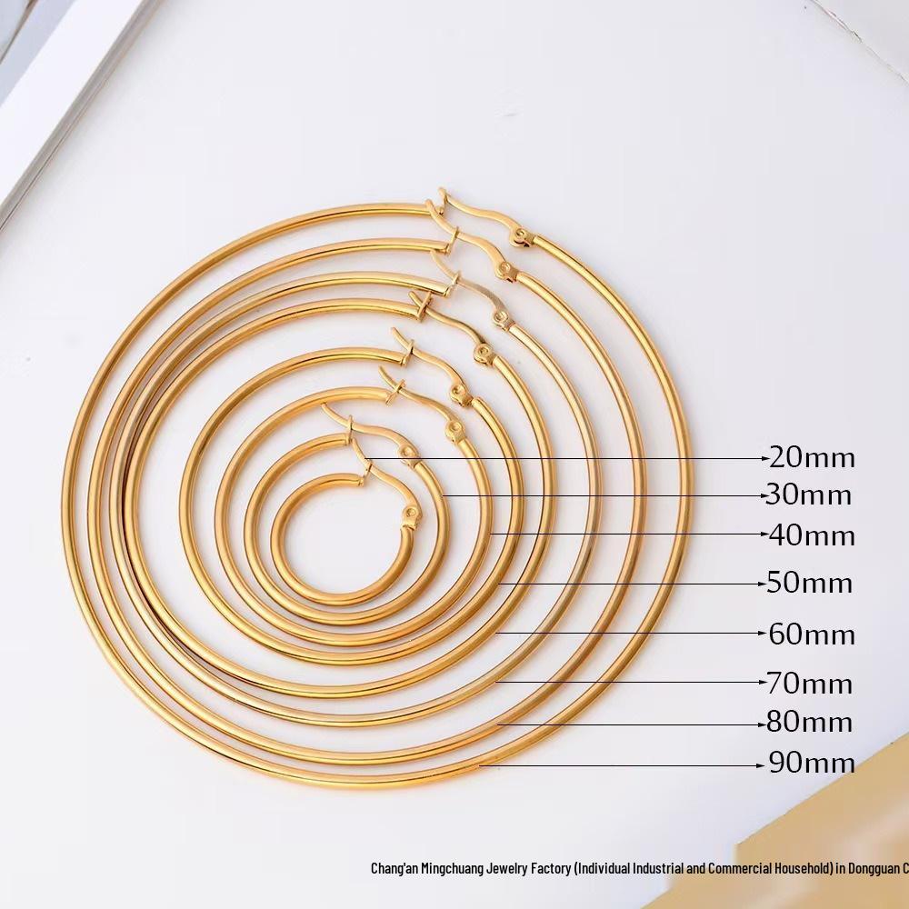 Classic European & American Versatile Stainless Steel Hoop Earrings for Women - Internet Celebrity Style