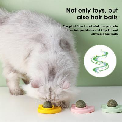 Gatos – Juguetes para gato