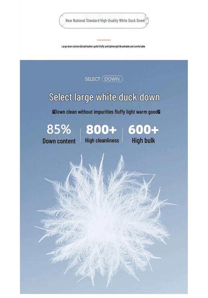Stylish Temperament Down Jacket: Thickened Mid-Length Winter Coat for Middle-Aged & Elderly Women