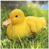 Remote Control Duck Water Remote Control Duck Water Park Parent-child Entertainment Remote Control Duck Rocker Boat