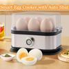 200W Power Eggs Boiler 6 Eggs Capacity Auto Shut-Off Smart Egg Cooker Stainless Steel Multi Functional Rapid Egg Cooker