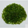 Loose Gemstone 191 Ct Green Peridot Natural Rough   Rough lot