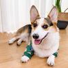 Dirt-Proof Elbow Guard for French Bulldogs and Corgis - Joint Protector & Pet Knee Pad
