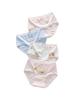Warm Buds Girls' Pure Cotton Cartoon Underwear, 6-12 Years, Triangle Style