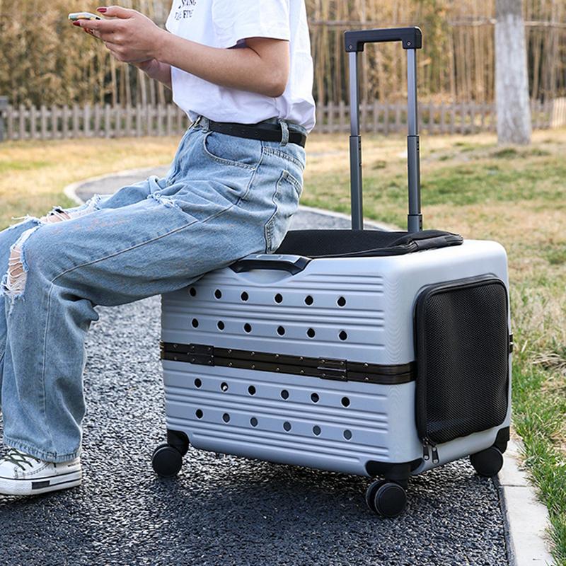 Large Pet Trolley Case Panoramic View Portable Cat Carrier Comfort Breathable Space Capsule Transparent Pet Transport Solution