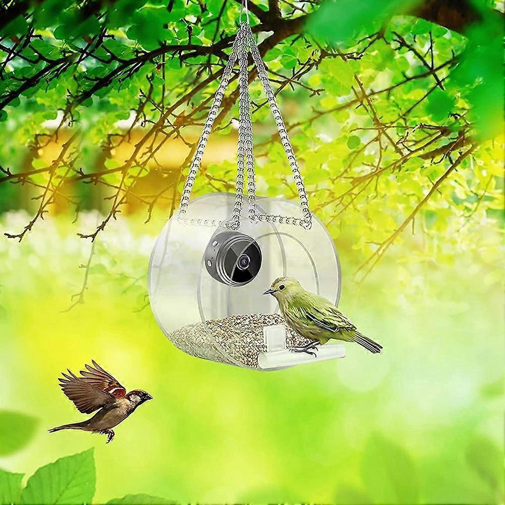 Räumungsverkauf Jetzt Intelligenter Vogelfutterspender mit Kamera, 1080P Vogelbeobachtungskamera Automatische Videoaufnahme & Bewegungserkennung Für Außen I Bird