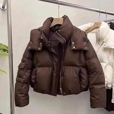 Women's Down Cotton Jacket Winter Loose Hooded Female Coat Korean Version Short Ladies Cotton Padded Outerwear