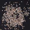 50Pcs Shiny Zircon Rhinestones Nail Charms Mini Rhombic Nails Gemstone Flatback Nail Art Craft Rhinestones Decoration