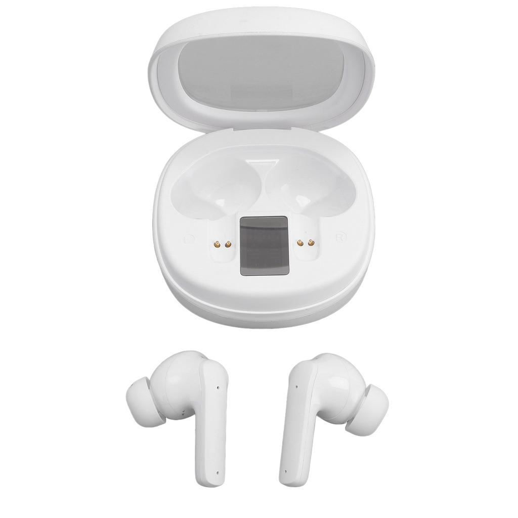 Sprachübersetzer Ohrhörer 5.4 Echtzeit Online 144 Sprachen Übersetzungsgerät mit APP für