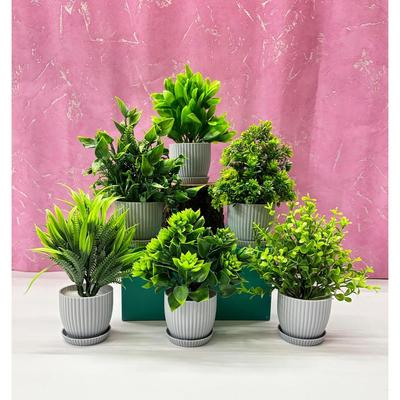 Plastic 6 Packs Fake Plants Small,Mini Artificial Plants Indoor For Home Farmhouse Bathroom Shelf Décor(Height : 17Cm,Gray)