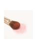 THE TOOL LAB [Butterfly Zone Pore Eraser] 162 Small Blusher Brush