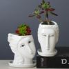 New Gardening Ceramic Flower Pot Simple Creative Desktop Succulent Flower Ornament