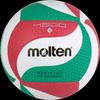 Molten V5M4900 Indoor Competition Volleyball - Size 5