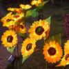 Solar-Gartenlicht, Wasserdichtes Automatisches Ein/Aus-Design, Sonnenblumenförmige Gartenlampen für Hof Terrasse