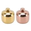 Stainless Steel Gold Seasoning Condiment Pot Spice Salt Sugar Pepper Container Jar Storage Organizer