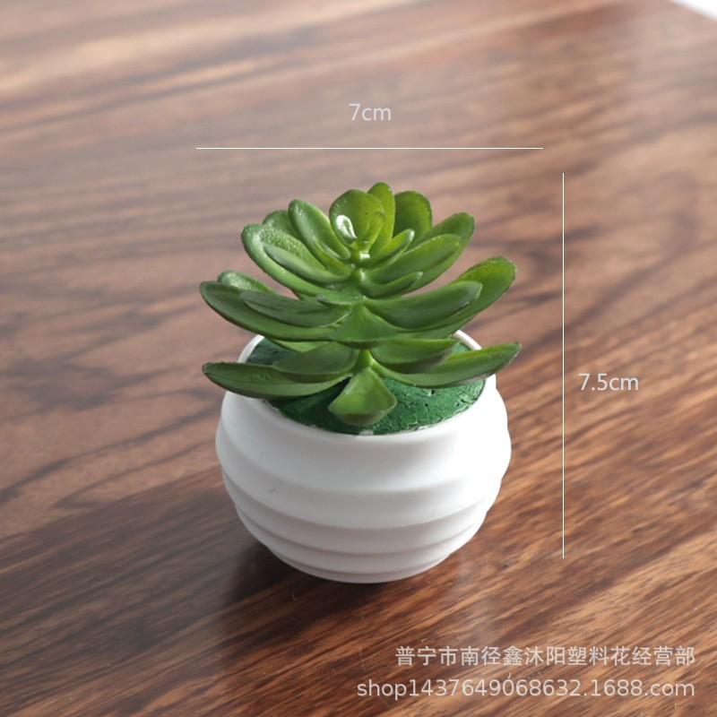 Artificial Succulent Mini Lotus Plant Decor Set Plastic DIY Terrarium Ornament Home Office Desk