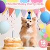 12Pcs Mini Small Dog Hat Cat Birthday Party Hat Reusable Puppy Cap Creative Kitten Cap Costume Accessories for Party Birthday