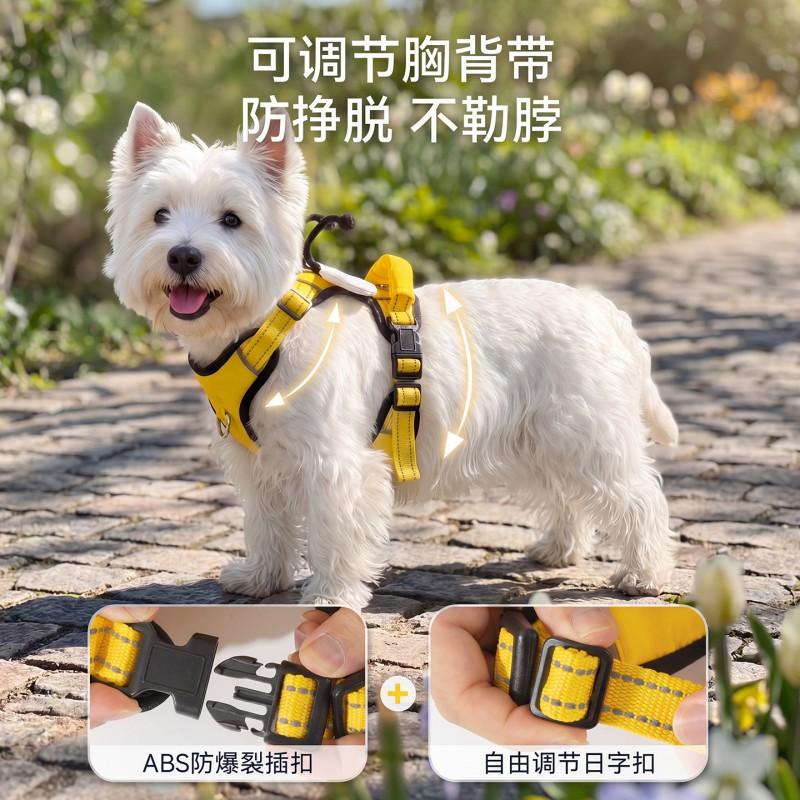 Lightweight Adjustable Dog Harness With Leash Small Medium Breeds Teddy Bichon Outdoor Walking