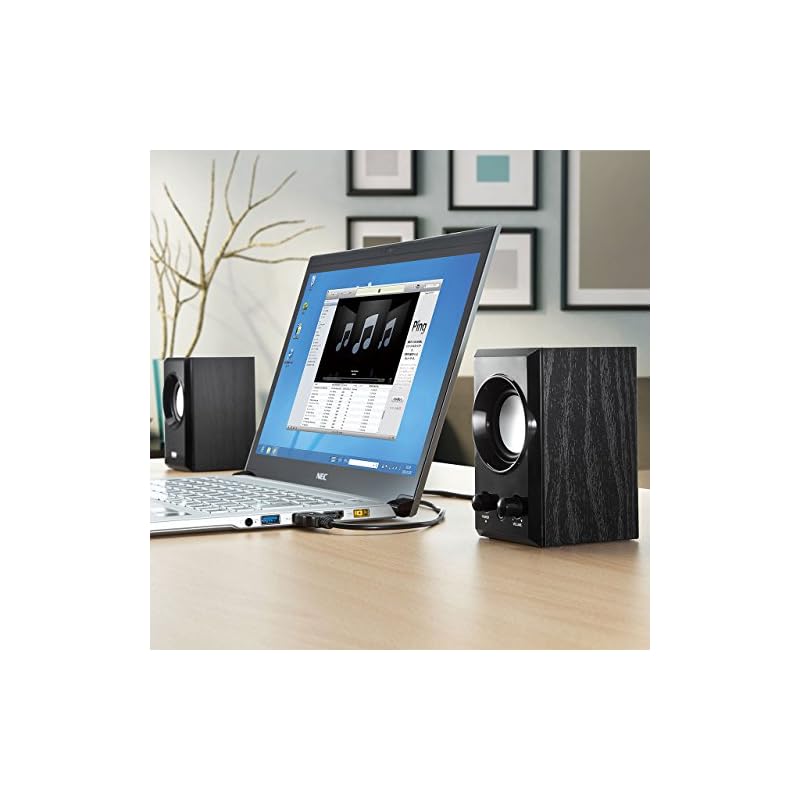 Sanwa Supply USB Speaker with Wooden Cabinet and Passive Radiator, Black MM-SPU7BK