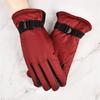 Gloves Warm Women's Fleece Thickened Outdoor Warm Windproof Cold-proof Non-slip Electric Vehicle Gloves Women