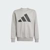adidas Kids Casual Sportswear Crew Neck Moderate JE1385