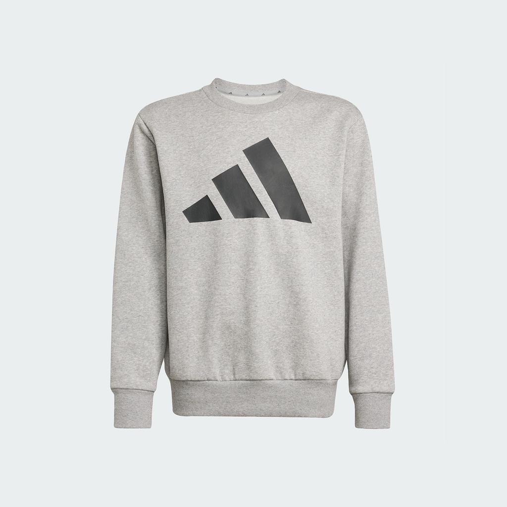 adidas Kids Casual Sportswear Crew Neck Moderate JE1385