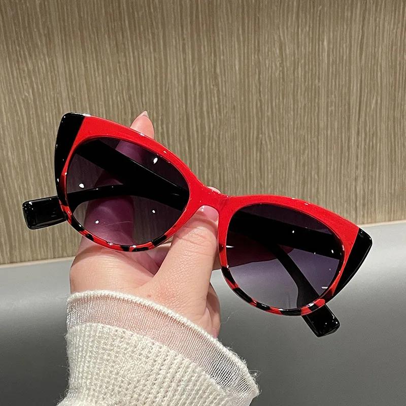 Premium New Fashion Big Frame Sexy Ladies Sunglasses Women For Female Luxury Designer Sun Glasses Vintage Punk Double Color Shade