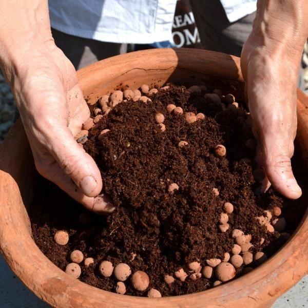 NATUREN Clay Pellets - 40L - Protects Against Frost and Saves Water