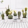 Oulifei Premium Artificial Tropical Succulent Cactus Bonsai for Home Decor