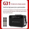 Sansui G31 Portable Outdoor KTV Bluetooth Speaker System CN Plug (adapter Included)
