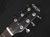SCHECTER VNTL Gloss Finish Schecter Thin Body Acoustic Guitar F Hole Electric Acoustic Telecaster Shape Natural Passive OL-FL-P