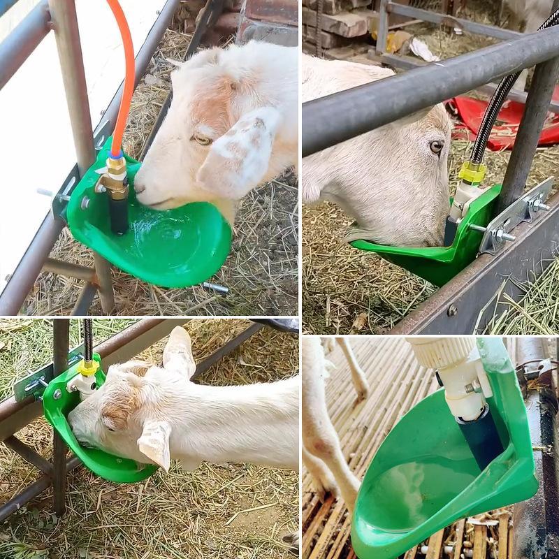 Livestock Sheep Goat Drinking Bowl Plastic Value Quality Water Fountain Cattle Sheep Dog Feeding Supplies Farm Animals Livestock