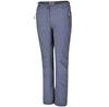 Шорты Dare2b Melodic II Stretch Walking Trousers (DWJ409R) Quarry Серый/разноцветный